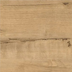 Дуб бунратти