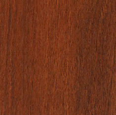 Ноче Мария Луиза